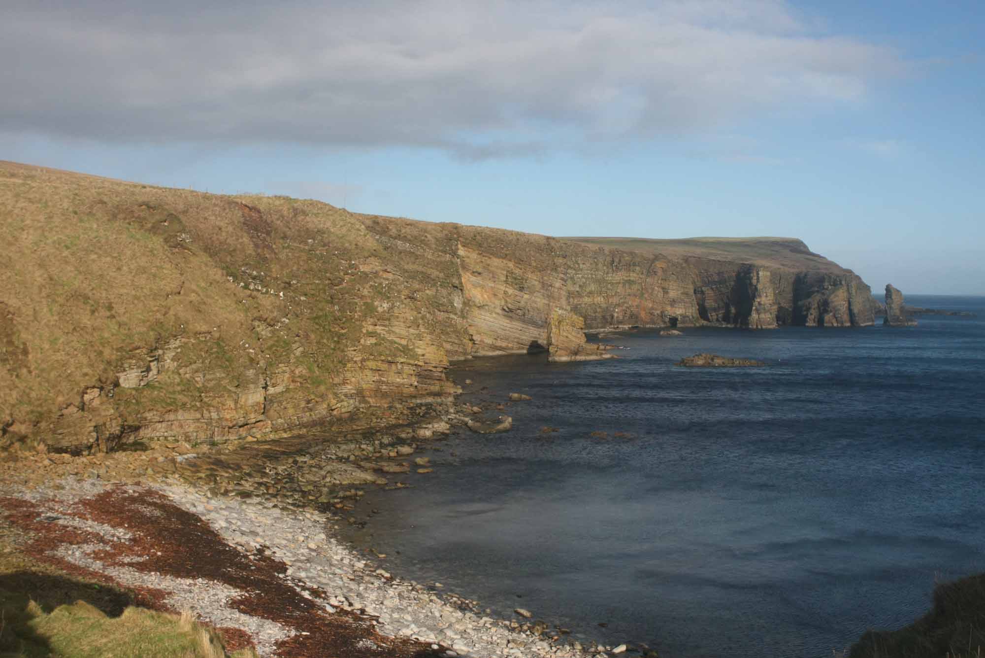 Love Orkney Tours